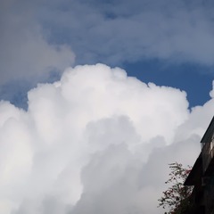 A0715D90-898A-4536-B5FA-CC4736F33BE4/L0/001