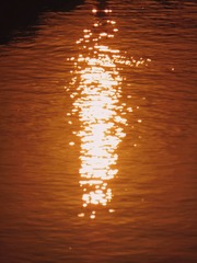 C93D5399-8333-4B94-B807-30570015F997/L0/001