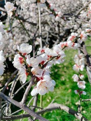 533AB02A-C719-41FE-A800-C101D601E1E7/L0/001