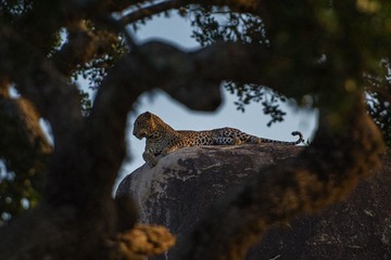 DSC_0175.jpg