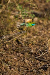 DSC_0423.jpg