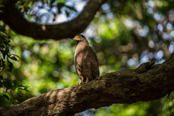 DSC_1021.jpg