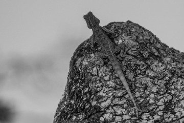 DSC_1055.jpg