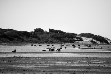 DSC_1141.jpg