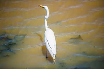 DSC_1163.jpg
