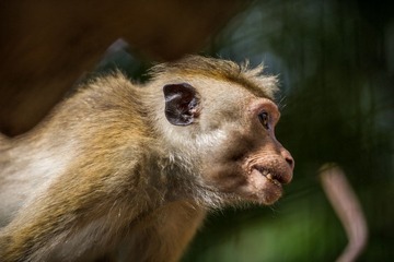 DSC_9668.jpg