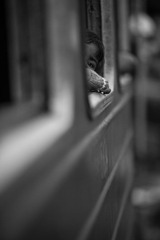 DSC_0062.jpg