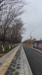 1001502345