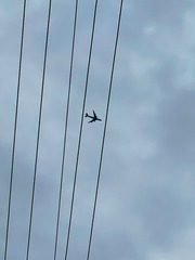 D02836DD-D2DA-40AC-B0B3-13185D3520B0/L0/001