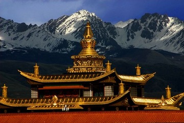 雪山金庙
