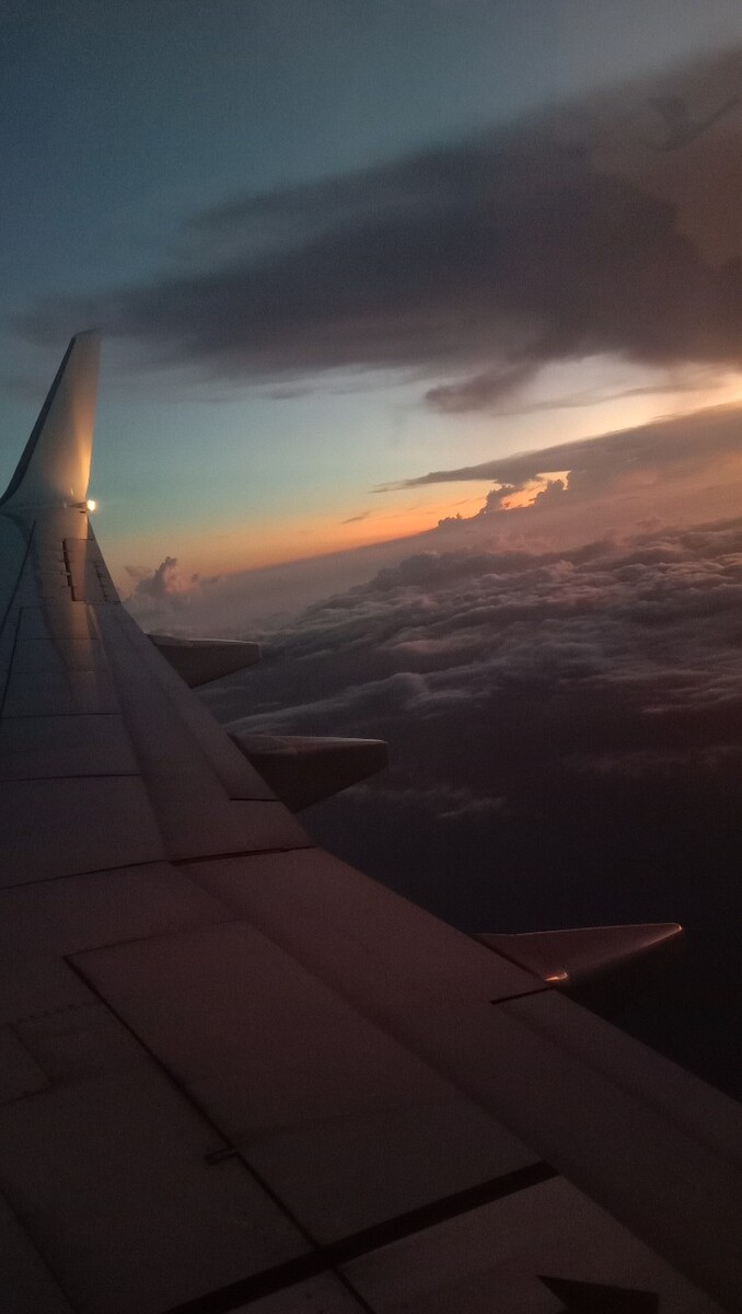 飞机,夕阳,傍晚,晚霞