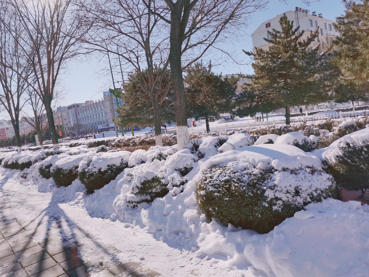 忽有故人心上过回首山河已入冬两处相思同淋雪此生也算共白头