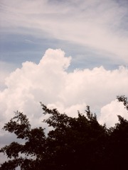 E01014FA-9327-4F77-8288-26BF083004E2/L0/001