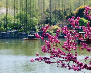 4B11486F-C7CC-4DD4-B221-8804DC86A400/L0/001