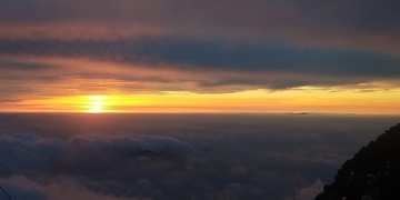 72366