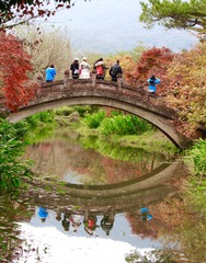 250D1009-DEC0-4EAA-9A7D-572D2FFEC82C/L0/001