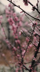 986986EF-3DB4-4805-AE00-543C73939F62/L0/001