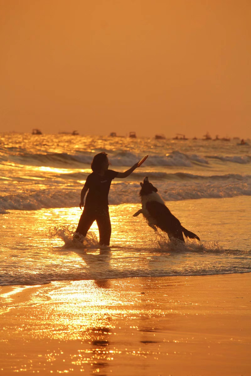 广西北海市傍晚随拍,有爱的画面