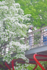 71A5CAFC-90C8-4A87-A682-3B701AEC1743/L0/001