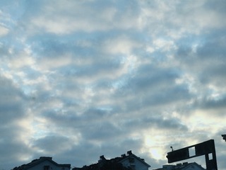 1000055371