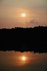 E77ED921-541D-47F1-A990-861A5E86F28C/L0/001
