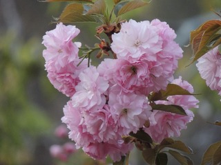 BB5F43B5-105E-49BA-A754-67D073D8F9A6/L0/001