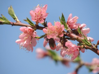 5A9A3398-3DFC-4AAF-9683-4C7893861968/L0/001