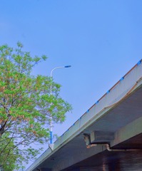 19D57E88-E313-4DF4-876B-43A0D3E37C0E/L0/001