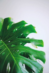 B5D2AD53-230F-4F3B-AD20-D6E1C5D82EA8/L0/001