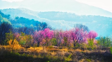 53657273-F0EB-4EC5-BEE8-282011C87CAC/L0/001