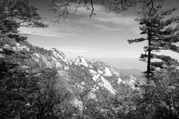 尧山行8.JPG