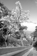 尧山行17.JPG