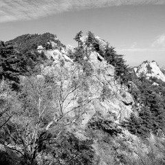 尧山行23.JPG