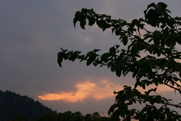 128631