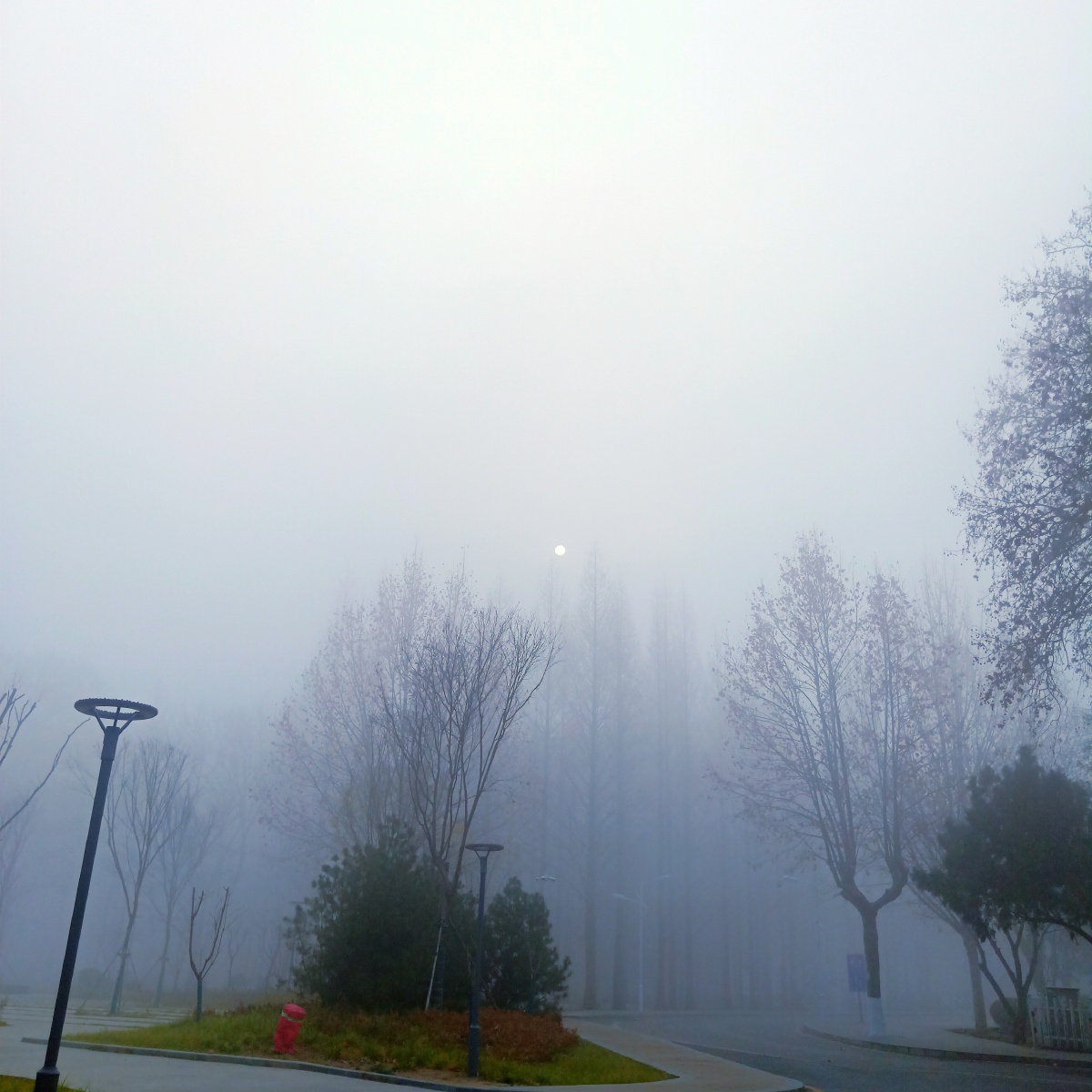 大雾四起我在无人处爱你