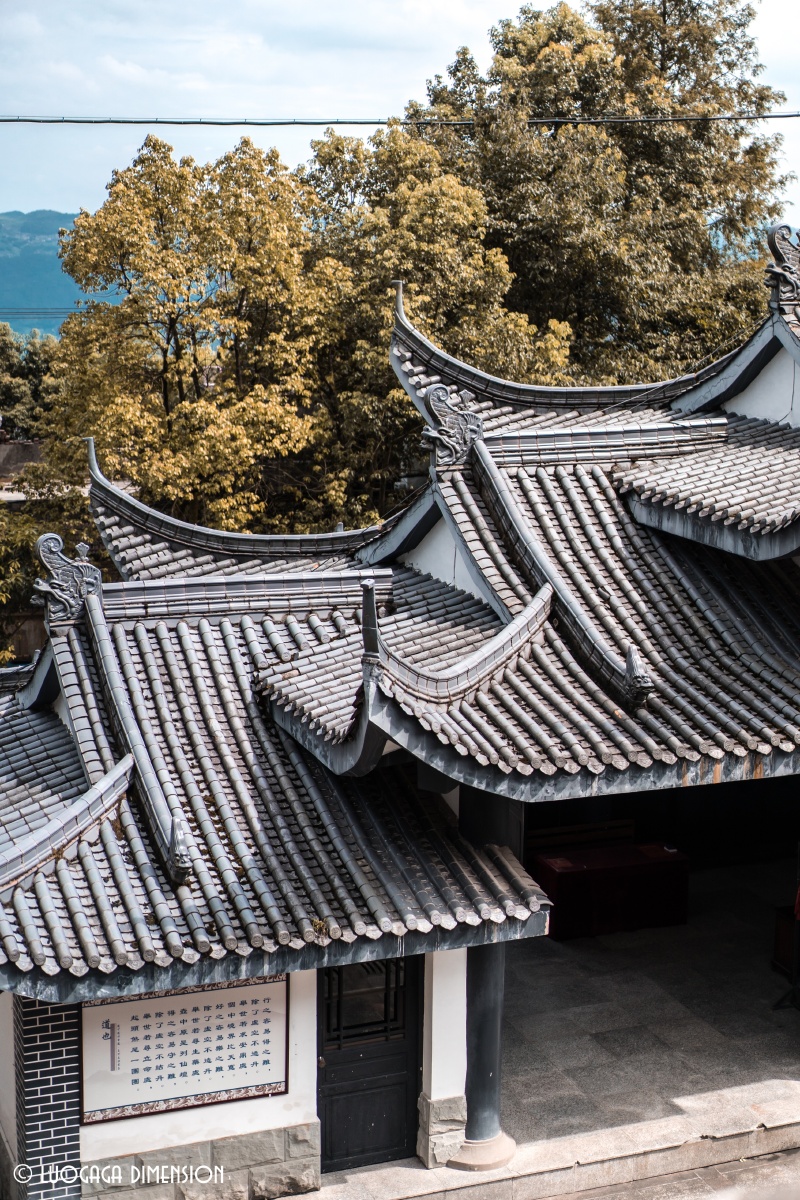 重庆缙云山白云观 - 罗嘎嘎gaga - 图虫