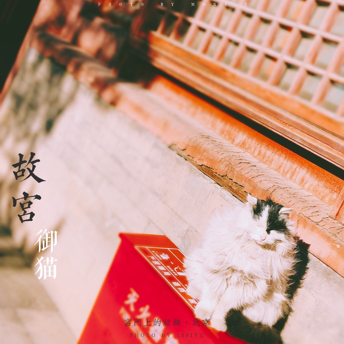 故宫中遇到的鳌拜御猫