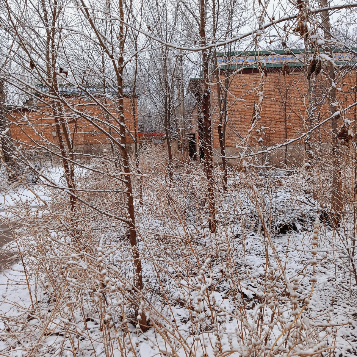 冬天的树挂真的很好看随手一拍都是好风景呢有没有喜欢冬天的宝贝呀