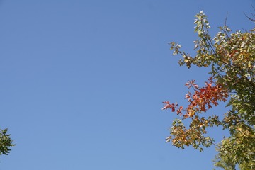 2340690D-D6B0-4D45-84D8-D06AD7A3344B/L0/001