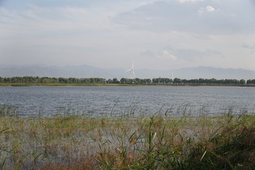 467D8D1C-0AD1-4278-9667-696175BF7BF1/L0/001