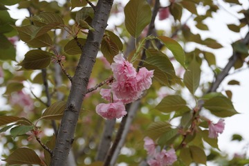 C84C43CF-B7E8-4064-85E6-1EFE9535C224/L0/001