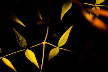 E13B13BD-4905-4394-B116-AF4854DF8CD2/L0/001