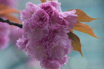 FEC4EC54-B2C3-420E-AE6F-C383047C7B7A/L0/001