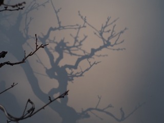 763D0911-8024-41A6-8B84-3DD30C349A56/L0/001