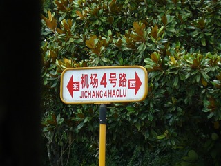 100559