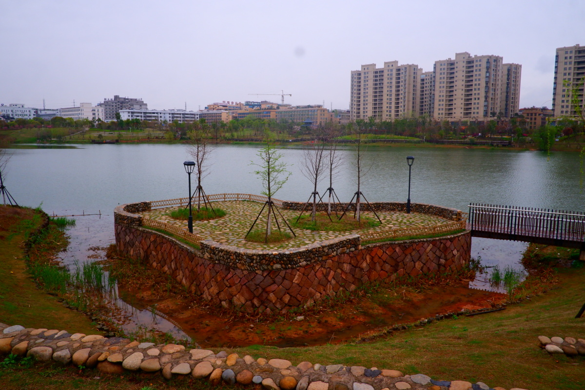 10后的摄影视角女儿眼中的稠江公园