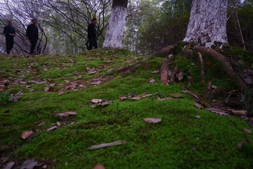 DSCF0068_wps图片