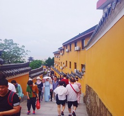 B3FF5272-689D-4978-AB70-AD6F07C1DDD4/L0/001