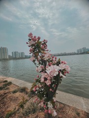 E1AEAC2E-1E0F-44A8-80B6-EF8A9B00DDFF/L0/001