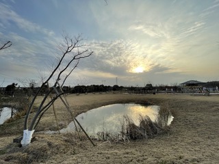 4AB5A4BD-EAE5-494E-A068-9B81B58E1274/L0/001